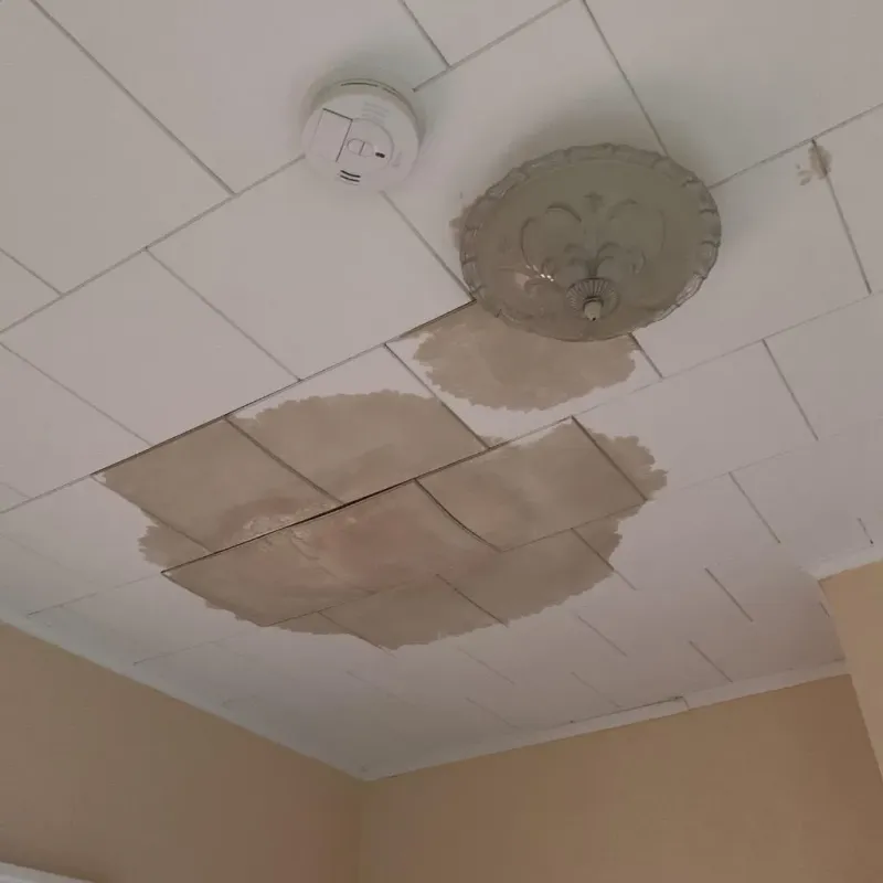 Ceiling Water Damage Repair in Felton, DE