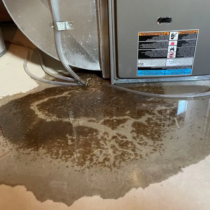 Pipe Burst and Leak Restoration in Felton, DE